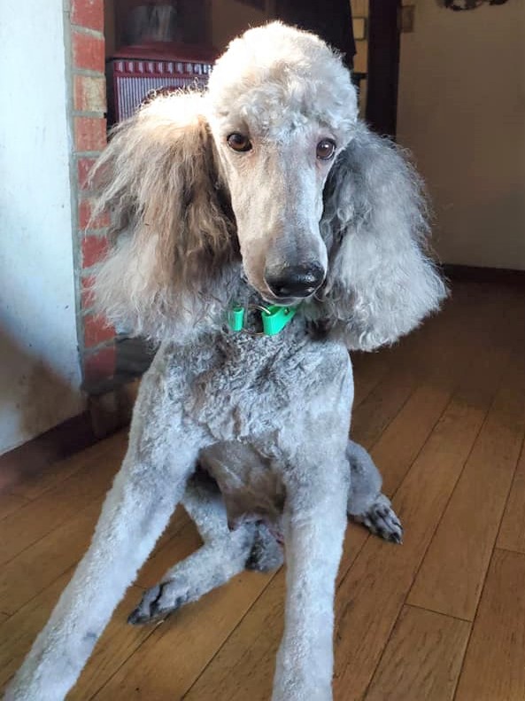 Marquis Diamond Kaitlynn Jenner